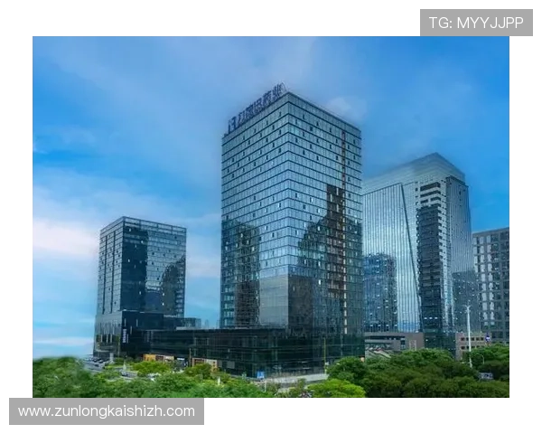 尊龙集团登录入口网站官方平台最新登录入口及操作指南