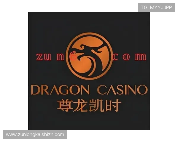 凯时尊龙客服全天候在线为玩家解答游戏规则与玩法策略疑问