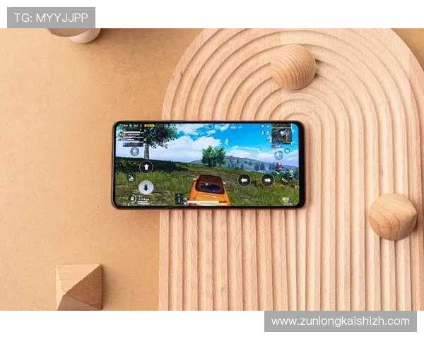 分析Z6娱乐平台的游戏公平性与随机性保障玩家权益