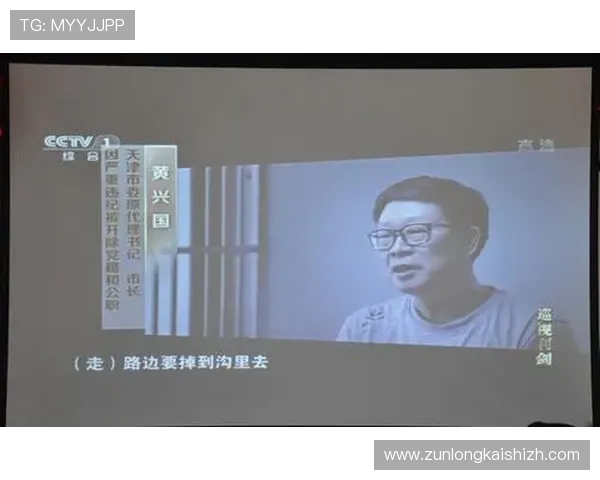 深入探讨尊龙凯时登陆的功能与应用场景