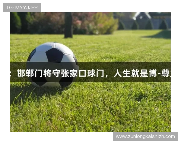尊龙凯时人生就是搏ag:分析游戏中的风险管理与人生决策的关系 尊龙凯时人生就是搏ag:分析游戏中的风险管理与人生决策的关系